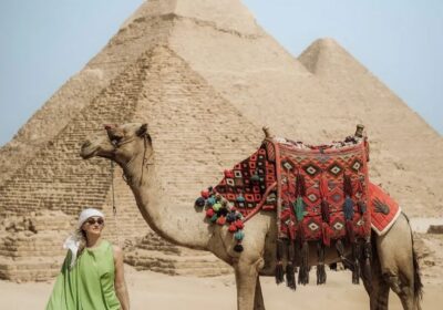 Egyptian Museum and Pyramids Cairo Tour