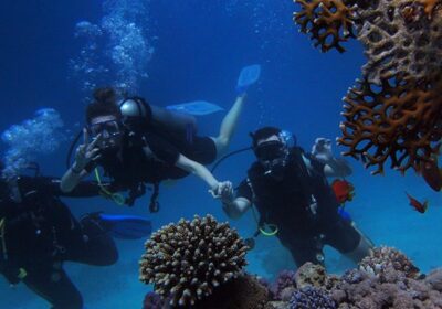 Diving Trip