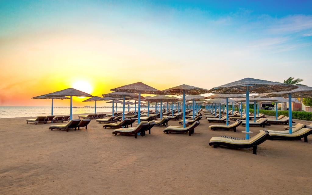 Hawaii Caesar Palace Aqua Park - Image 2